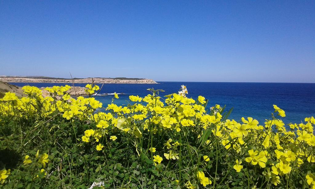 White Stallion Mellieħa Exterior foto